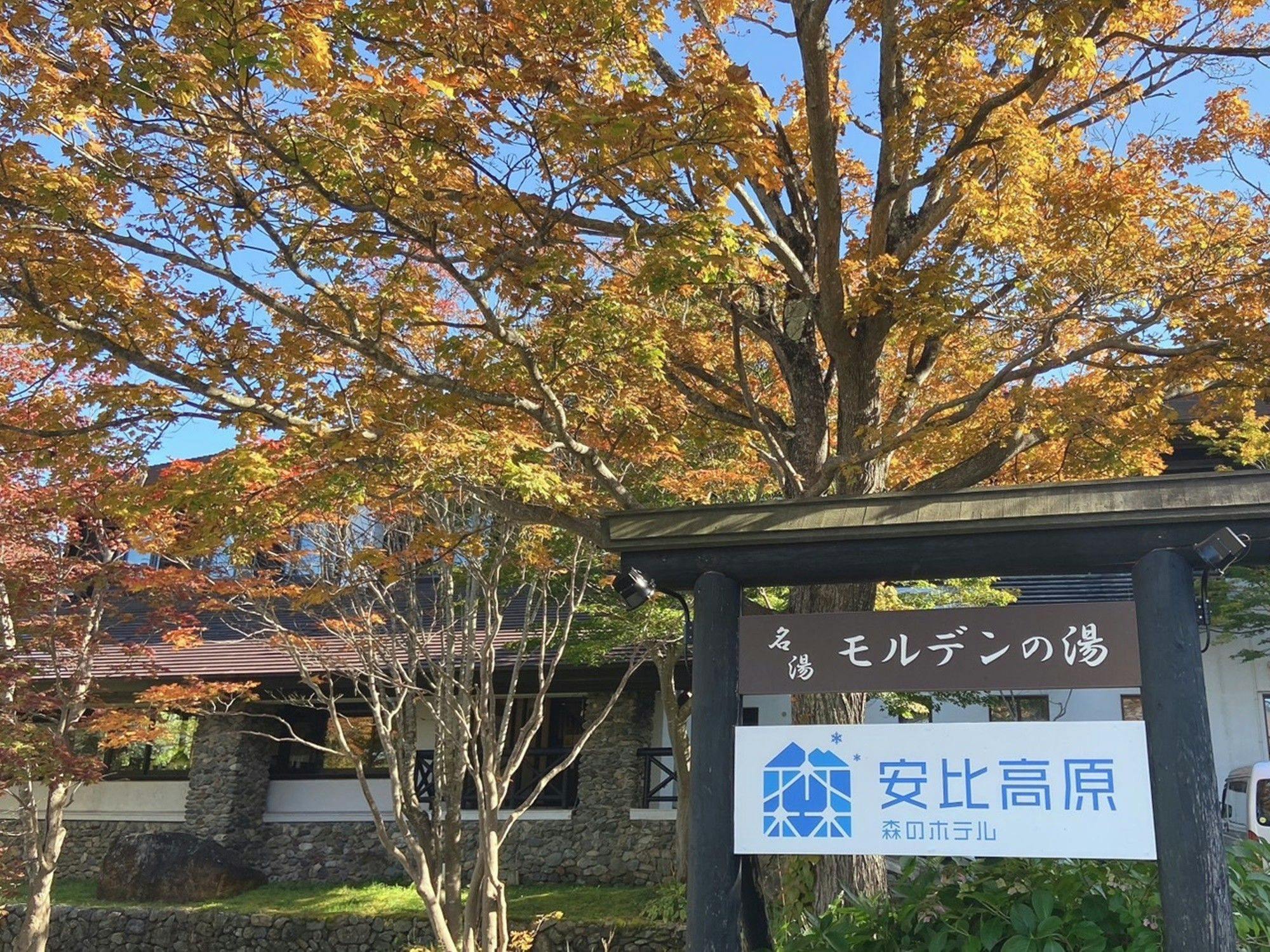 Appi Kogen Mori no Hotel