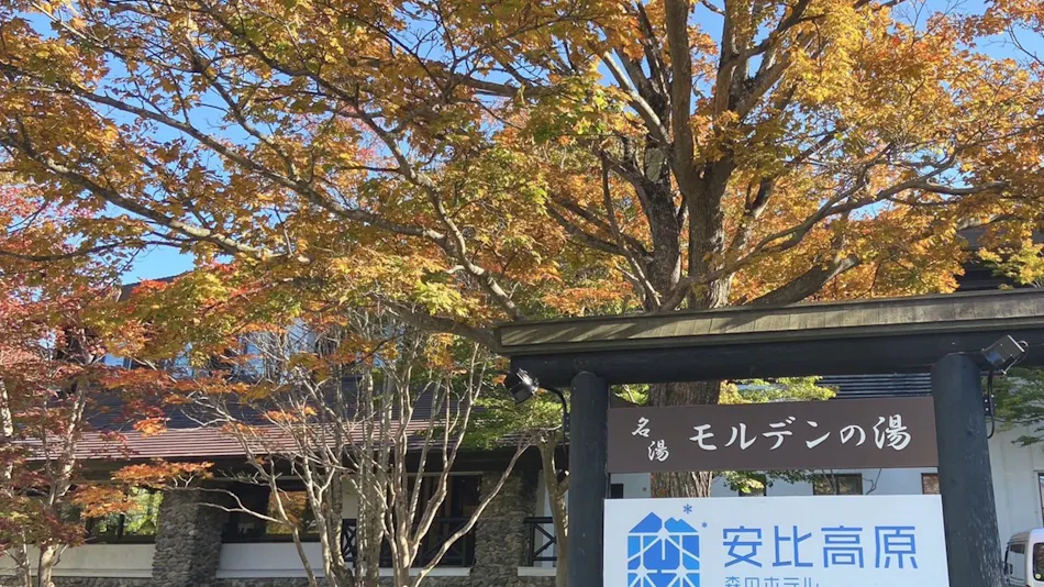Appi Kogen Mori no Hotel