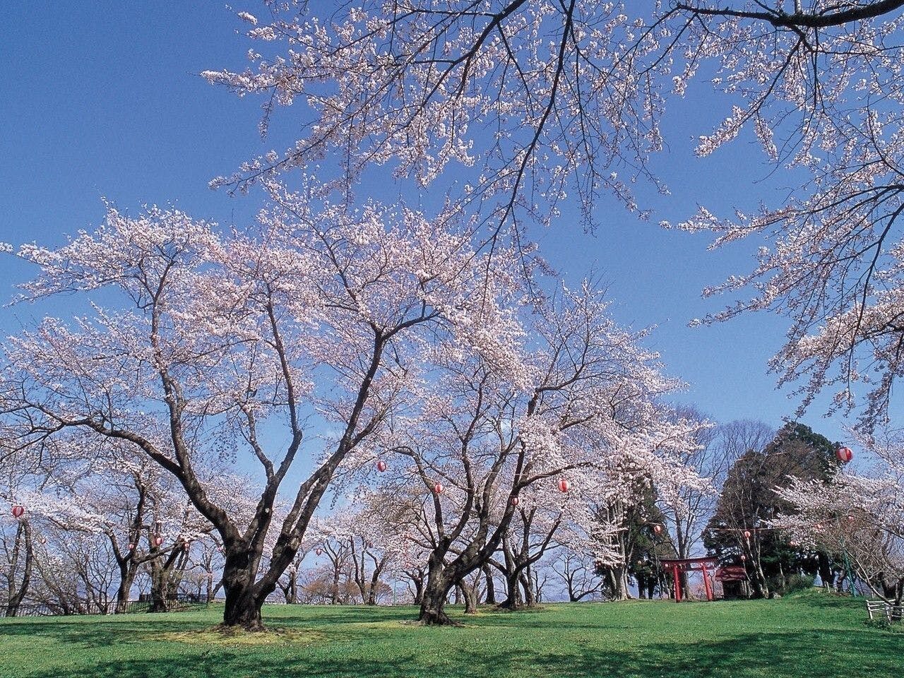 【Pelancongan Sekitar】Taman Shiroyama