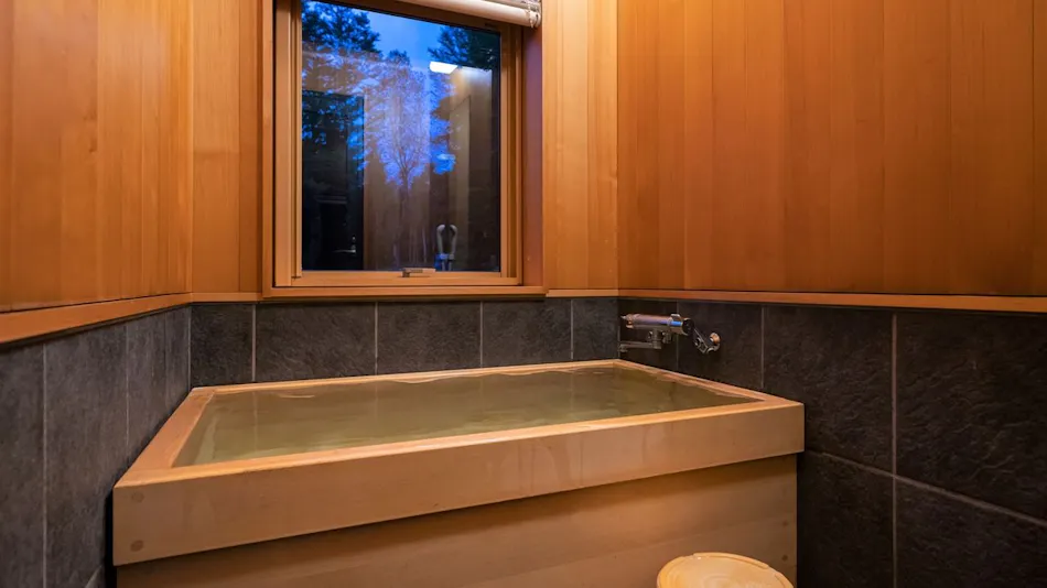 Appi Kogen Mori no Hotel
