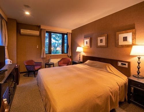 【スーペリアダブル】落ち着きのある洋室