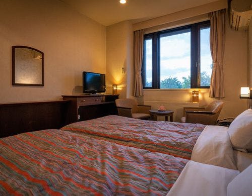 【ハリウッドツイン】落ち着きのある洋室