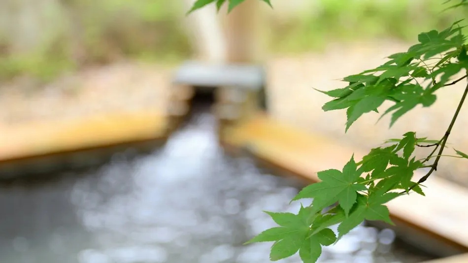 Appi Kogen Mori no Hotel