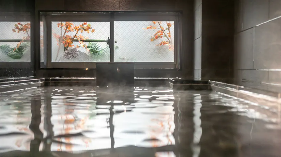 Natural Hot Spring Shukkeien no Yu Super Hotel Hiroshima Natural Hot Spring Yagenbori Street