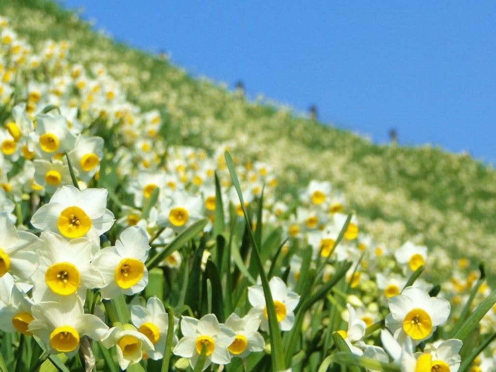 Ocean Resort Nomon Nagasaki