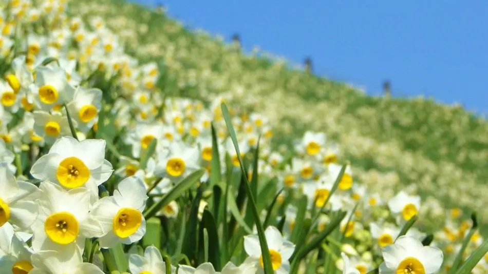 Ocean Resort Nomon Nagasaki