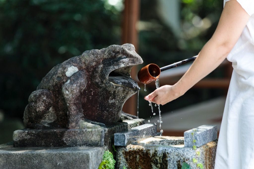 บ้านกบในน้ำ