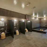 男女分開的大浴場(室內)