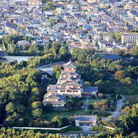 แผนเฮลิคอปเตอร์