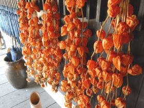 由布のお宿　ほたる