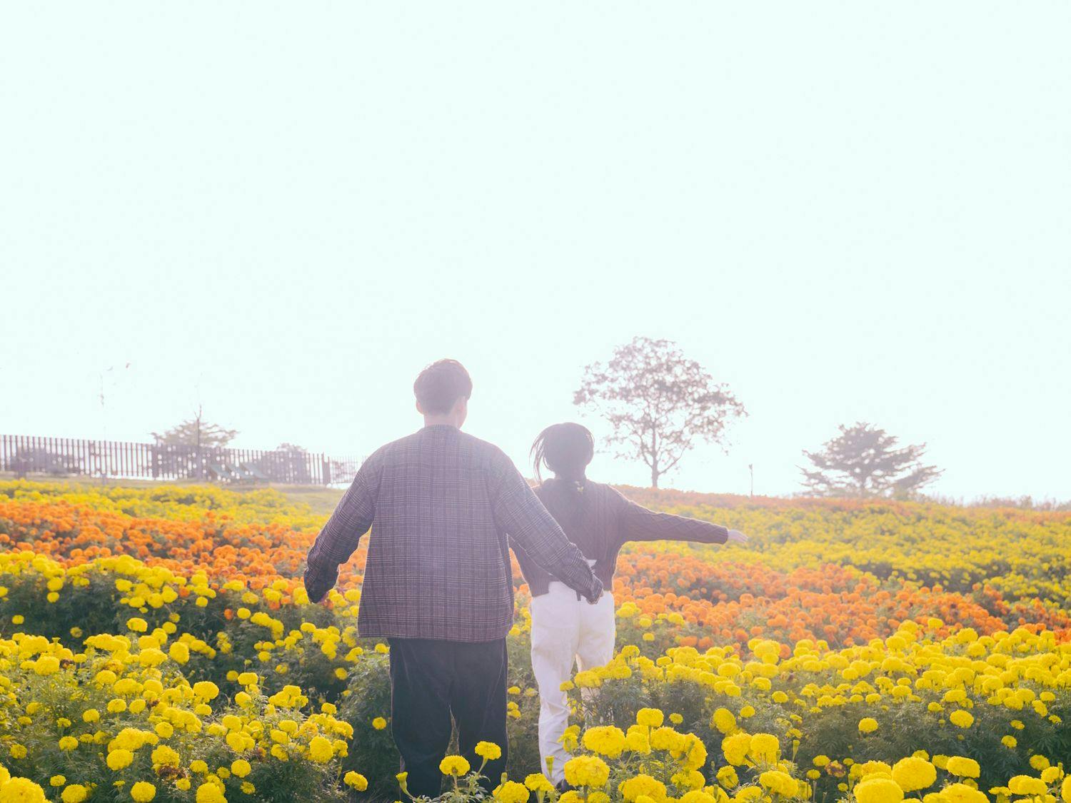 Kuju Flower Park Camping Resort Hana to Hoshi