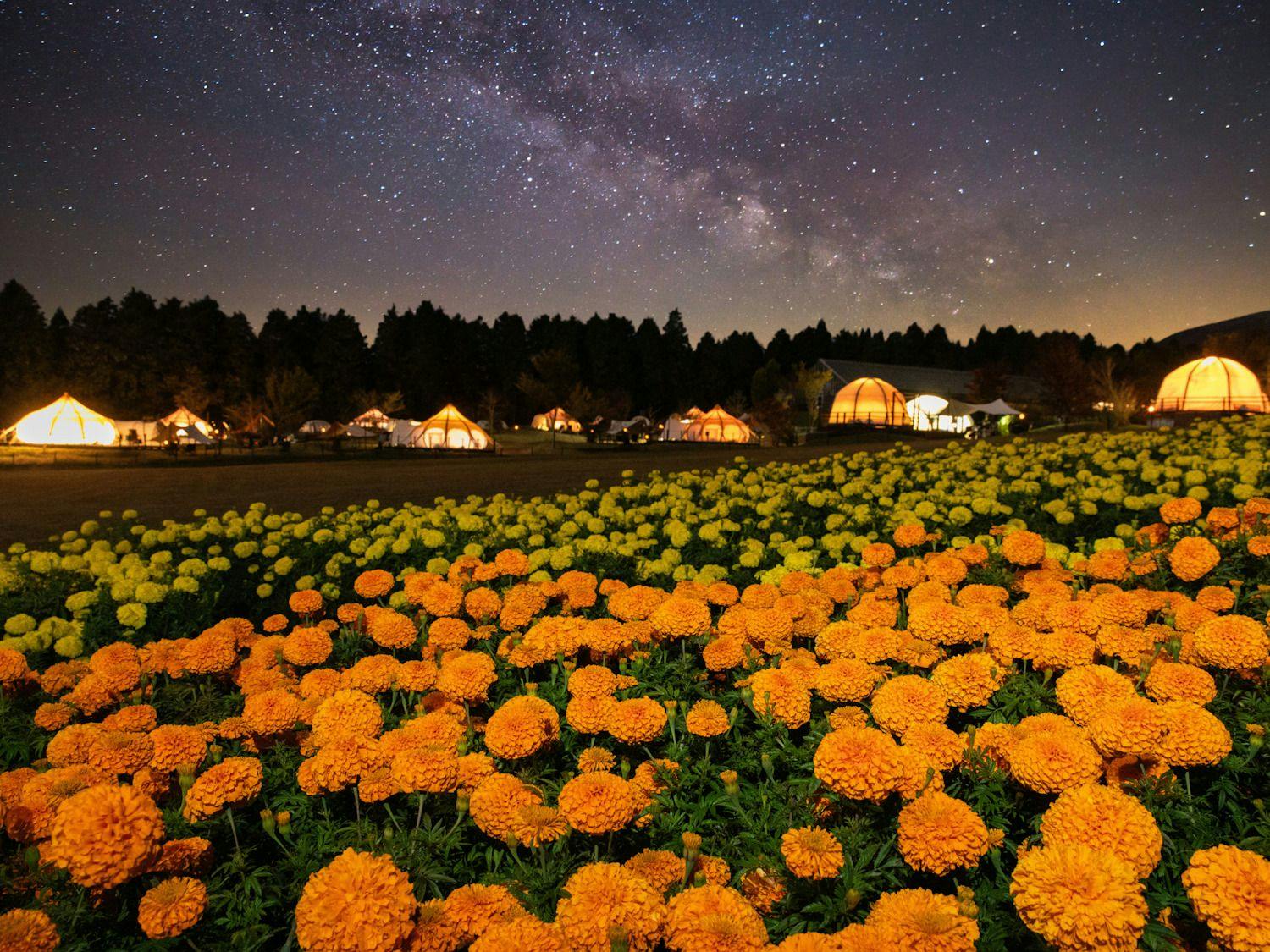 Kuju Flower Park Camping Resort Hana to Hoshi