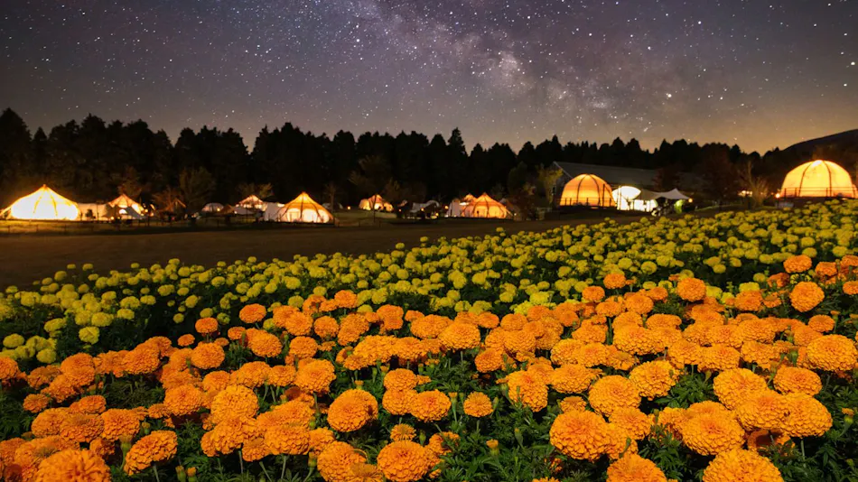 Kuju Flower Park Camping Resort Hana to Hoshi