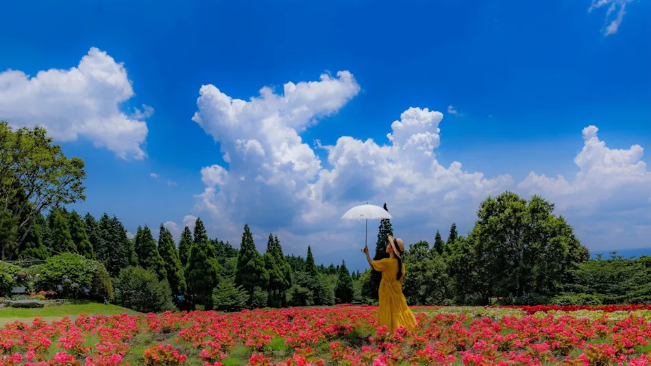 Kuju Flower Park Camping Resort Hana to Hoshi