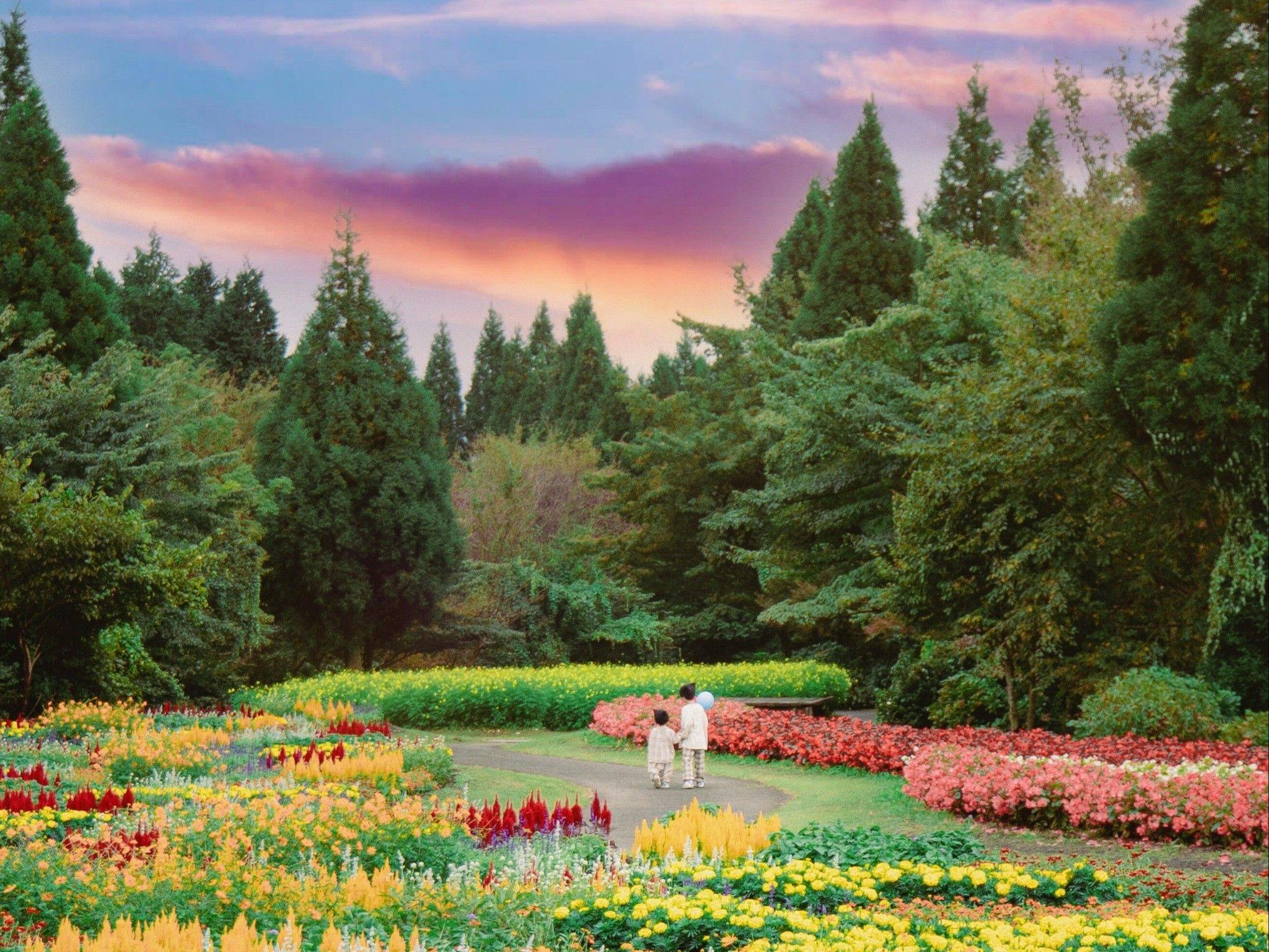 Kuju Flower Park Camping Resort Hana to Hoshi