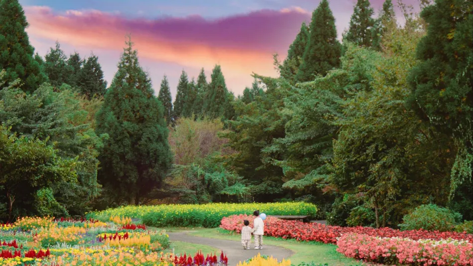 Kuju Flower Park Camping Resort Hana to Hoshi