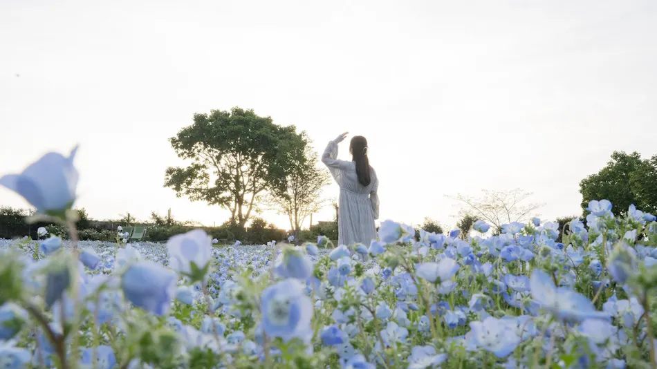 Kuju Flower Park Camping Resort Hana to Hoshi