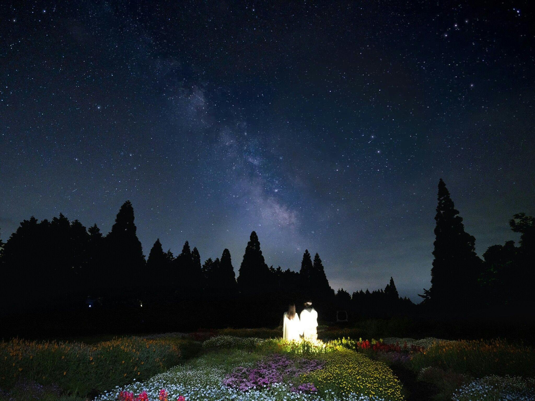 Kuju Flower Park Camping Resort Hana to Hoshi