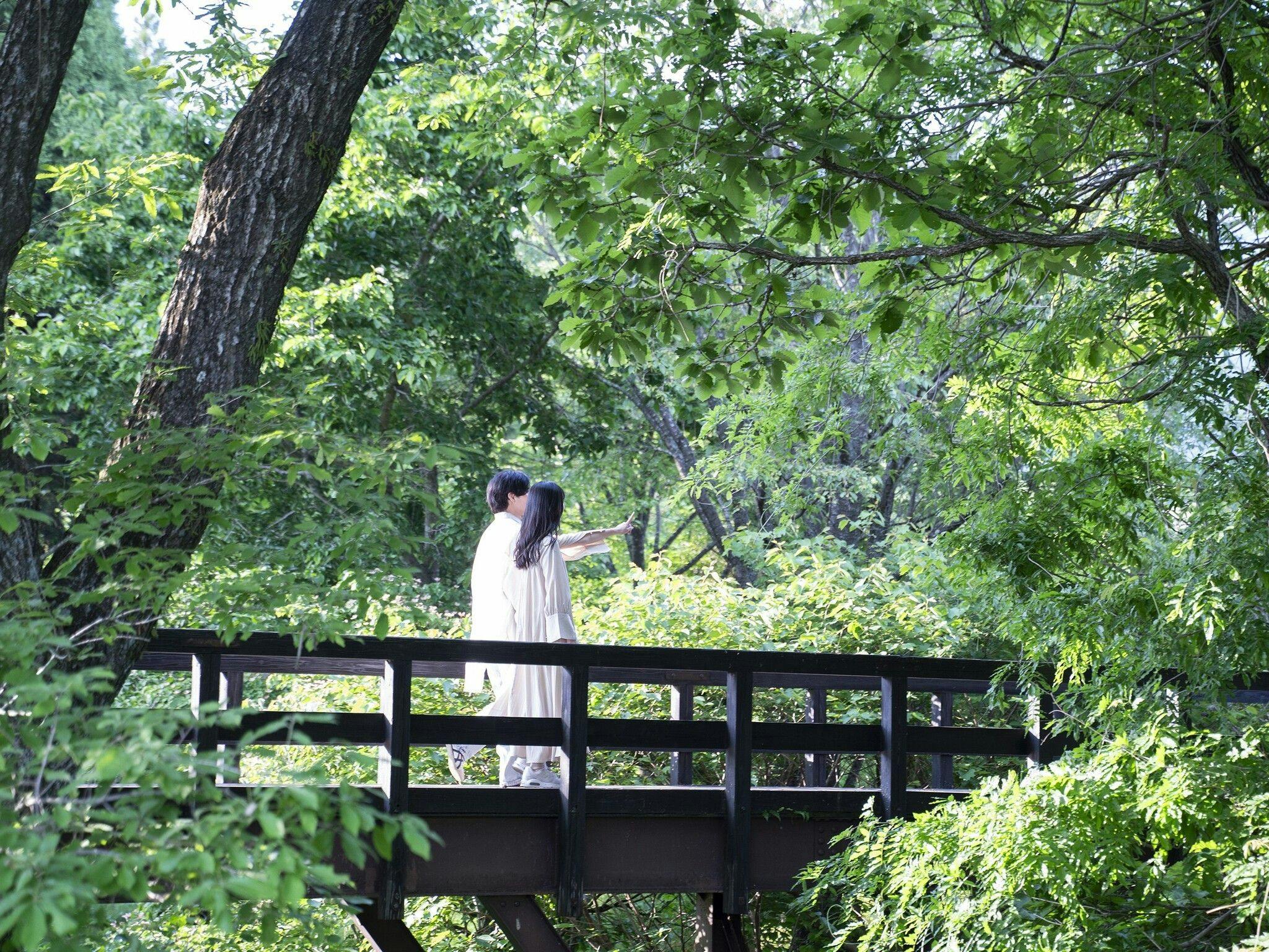 Kuju Flower Park Camping Resort Hana to Hoshi