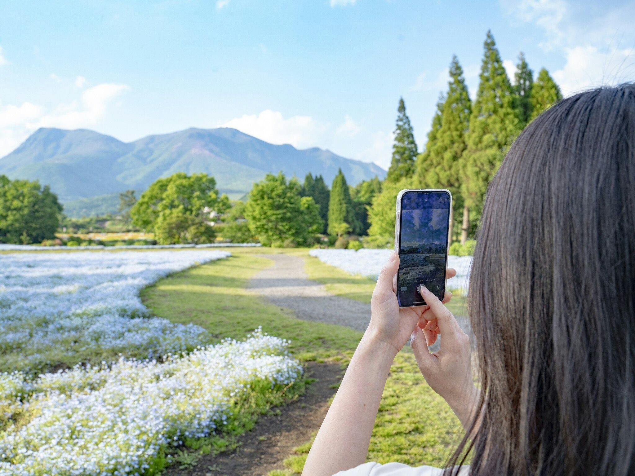 Kuju Flower Park Camping Resort Hana to Hoshi