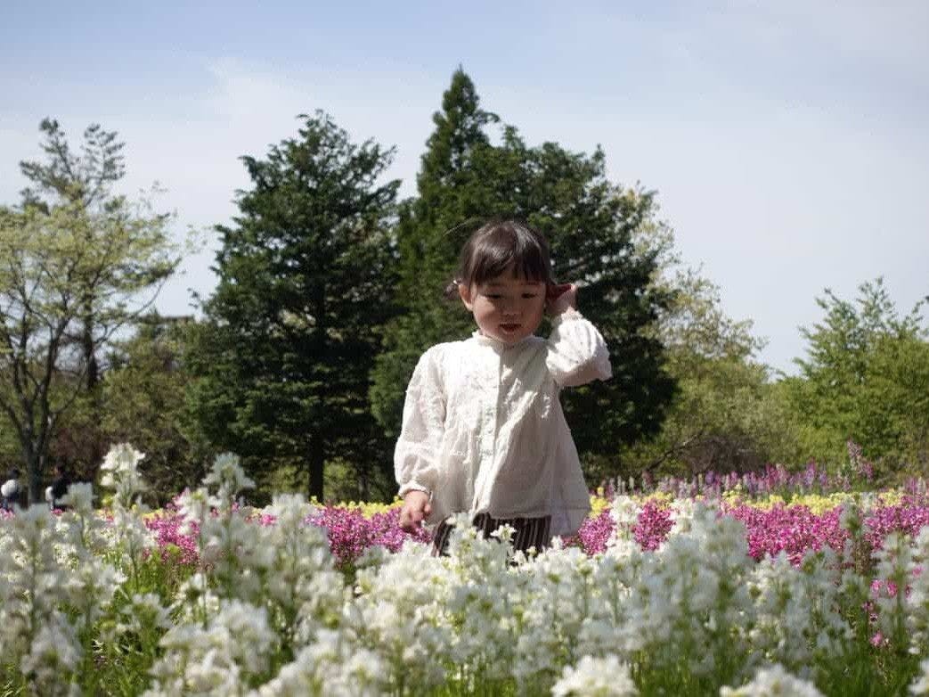 Kuju Flower Park Camping Resort Hana to Hoshi