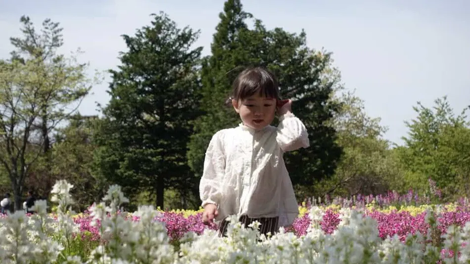Kuju Flower Park Camping Resort Hana to Hoshi