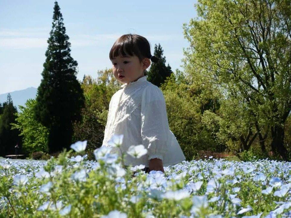 Kuju Flower Park Camping Resort Hana to Hoshi