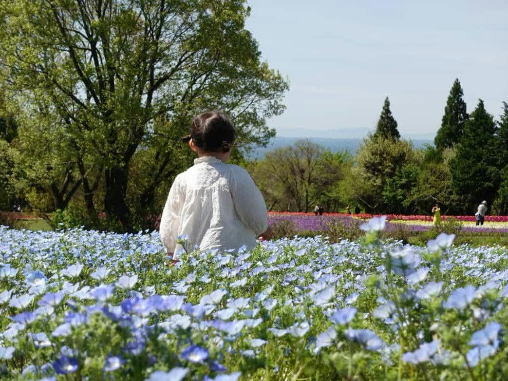 Kuju Flower Park Camping Resort Hana to Hoshi