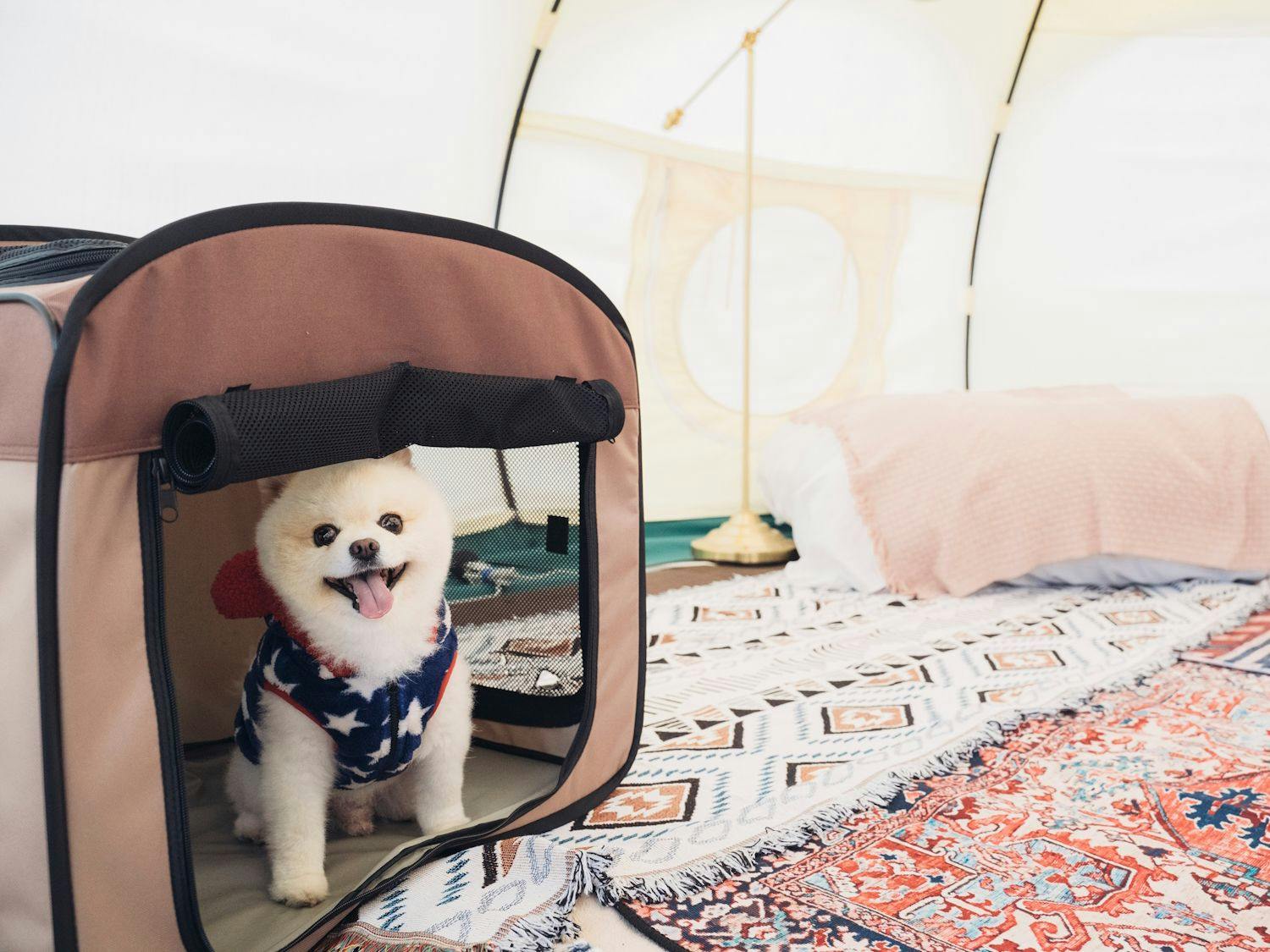 ภายในเต็นท์