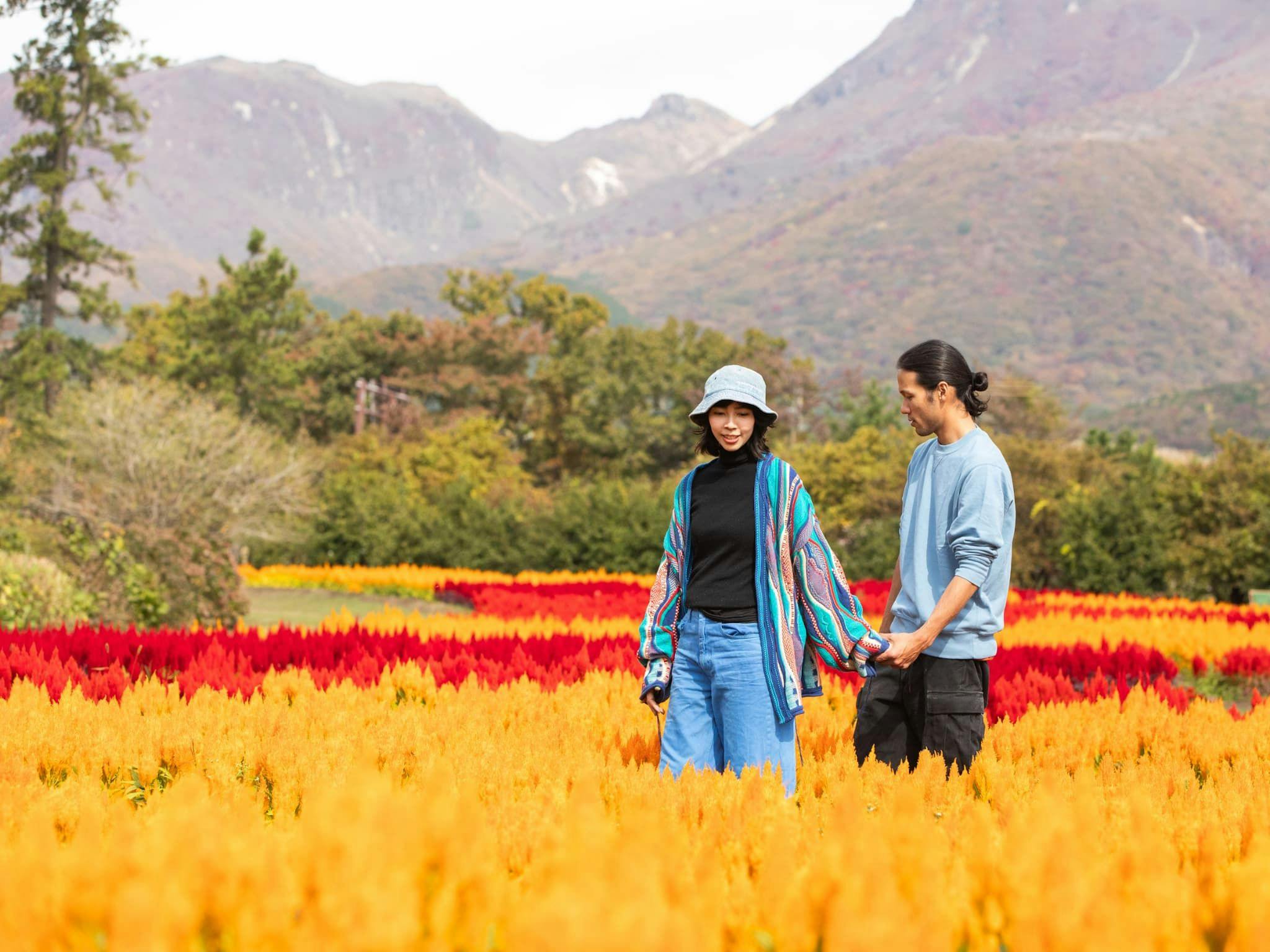 Kuju Flower Park Camping Resort Hana to Hoshi