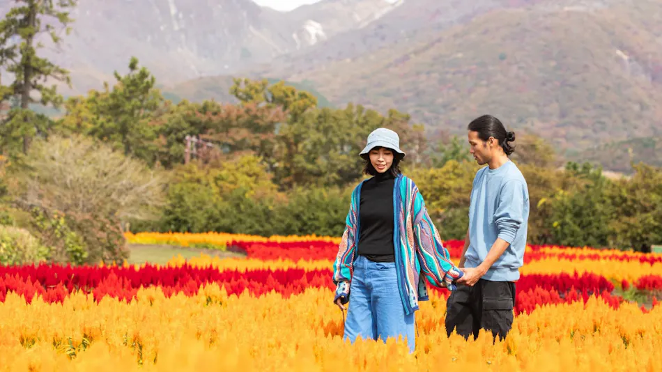 Kuju Flower Park Camping Resort Hana to Hoshi