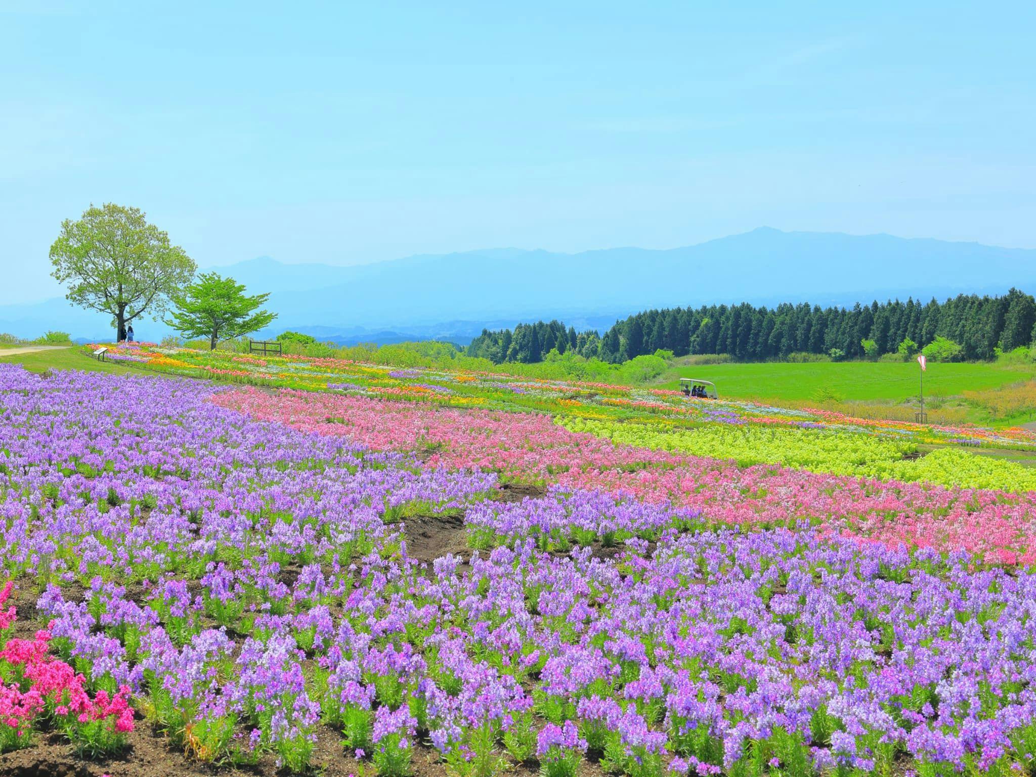 大分県竹田市のキャンペーン画像