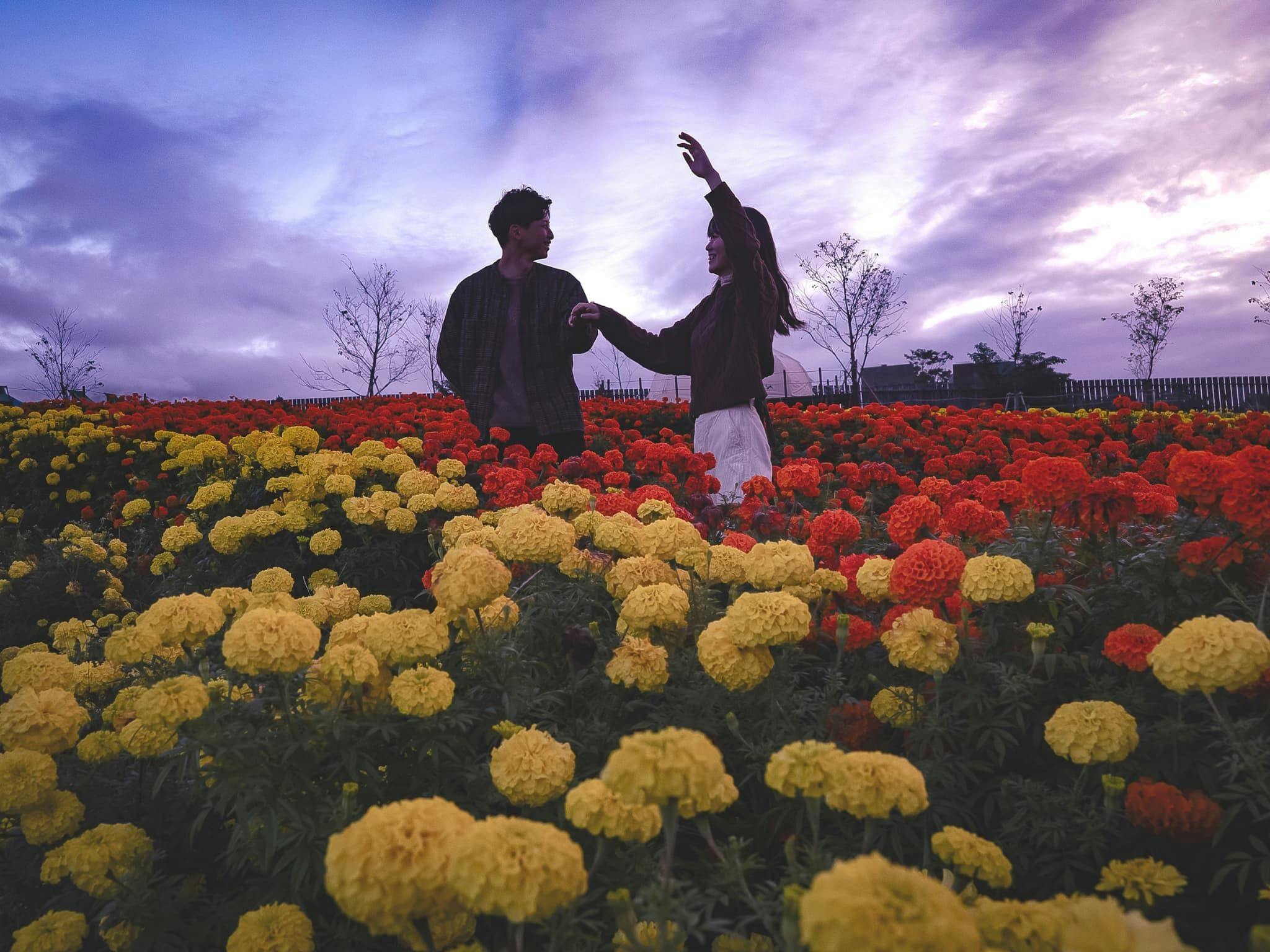 Kuju Flower Park Camping Resort Hana to Hoshi
