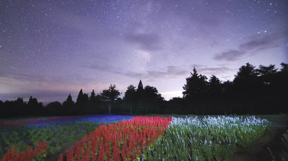 Kuju Flower Park Camping Resort Hana to Hoshi