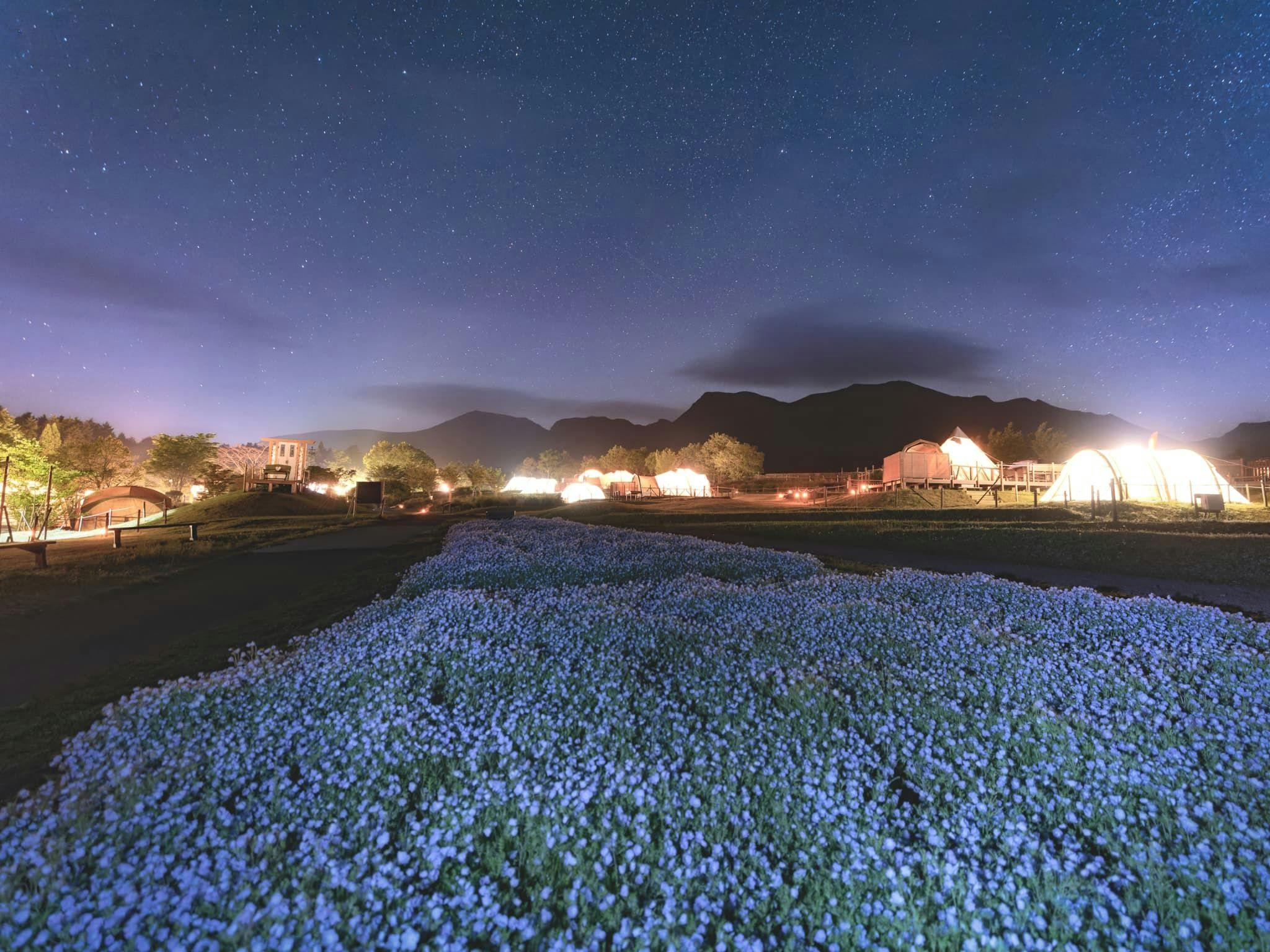 Kuju Flower Park Camping Resort Hana to Hoshi