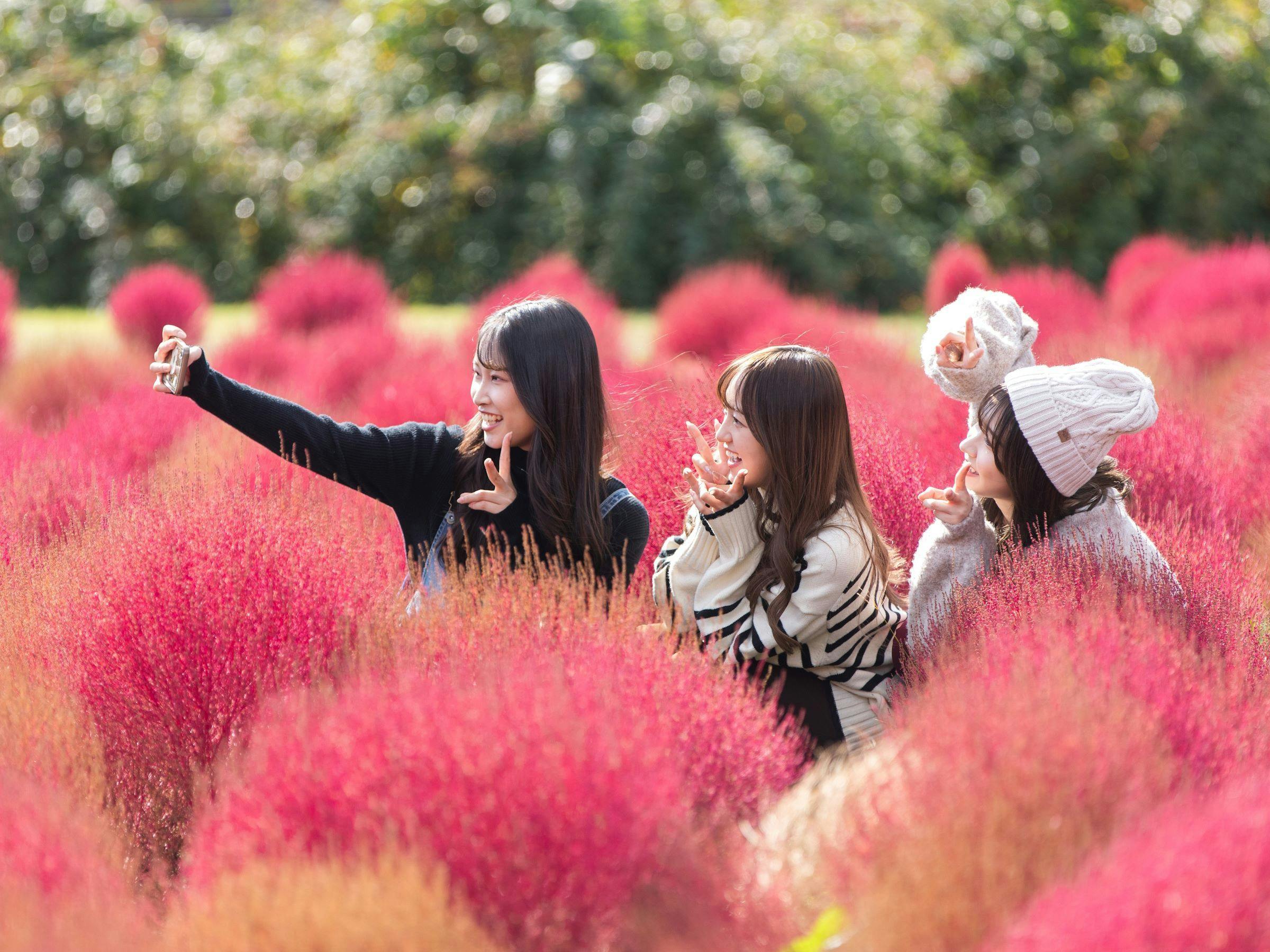 Kuju Flower Park Camping Resort Hana to Hoshi