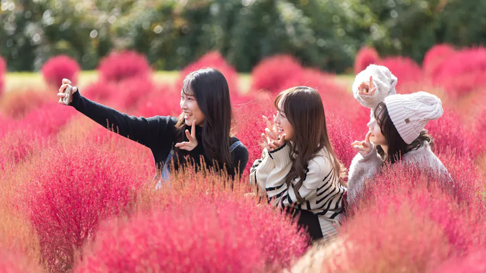 Kuju Flower Park Camping Resort Hana to Hoshi