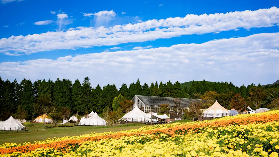 Kuju Flower Park Camping Resort Hana to Hoshi