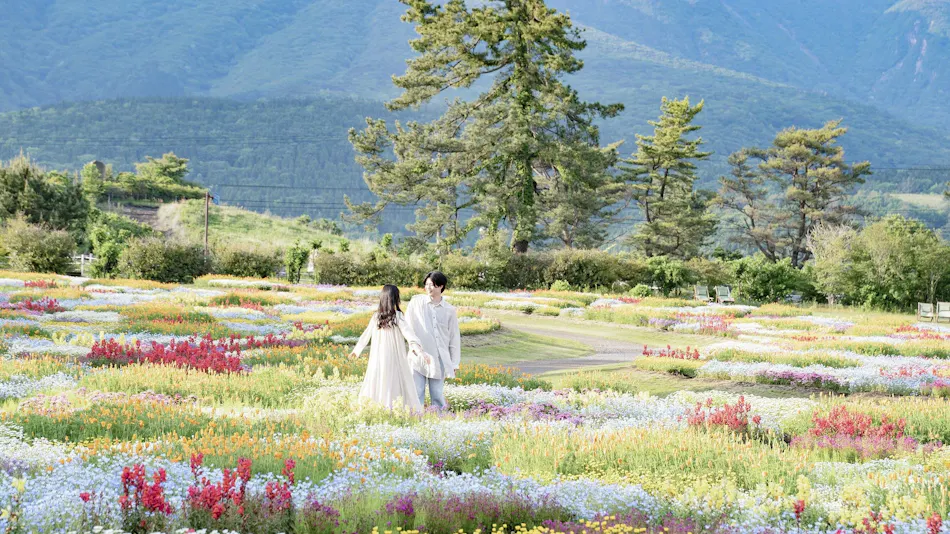 Kuju Flower Park Camping Resort Hana to Hoshi