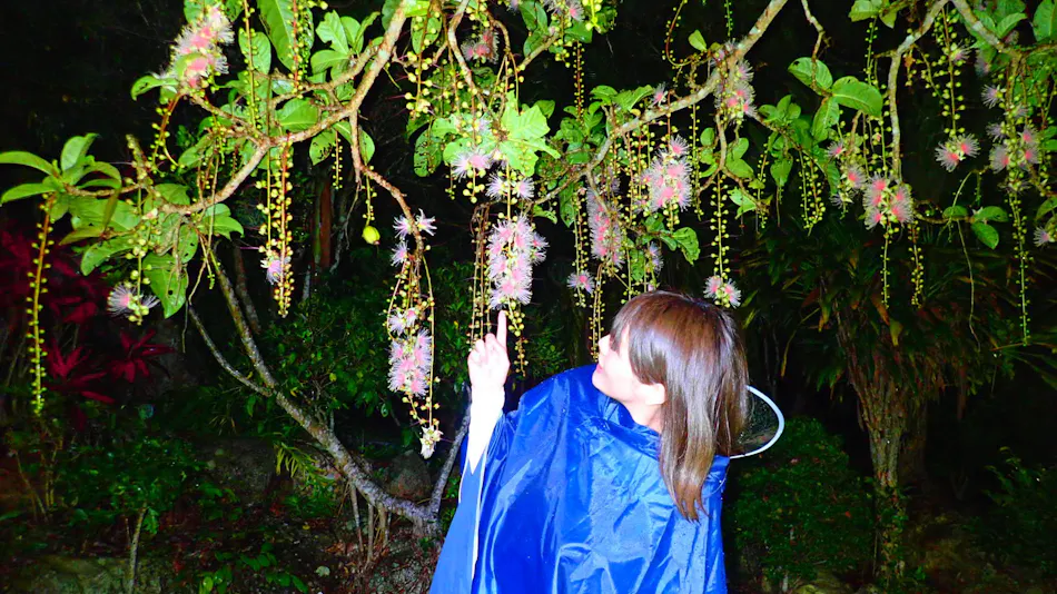 Resort Inn Iriomote Island