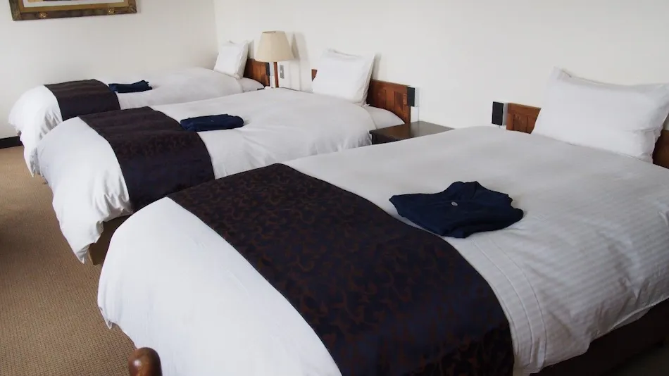 LC Goryokaku Hotel