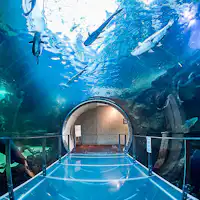 นากางาวะ สวนน้ำ