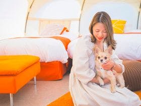 ＧＬＡＭＰＲＥＭＩＥＲ　Ｓｅｔｏｕｃｈｉ