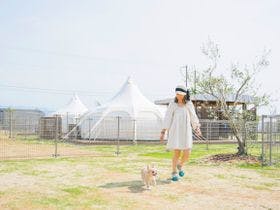 ＧＬＡＭＰＲＥＭＩＥＲ　Ｓｅｔｏｕｃｈｉ