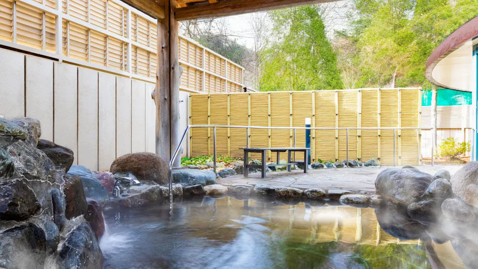 Asarigawa Onsen Hotel