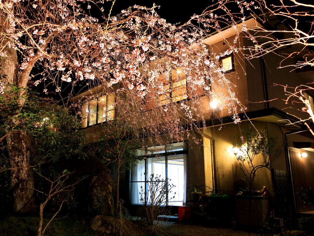 Yoshino Onsen Motoyu