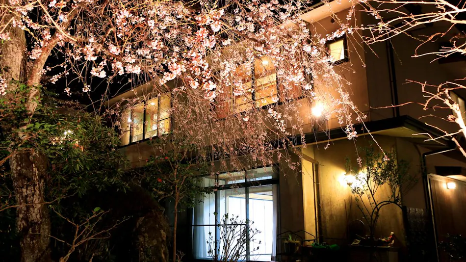 Yoshino Onsen Motoyu