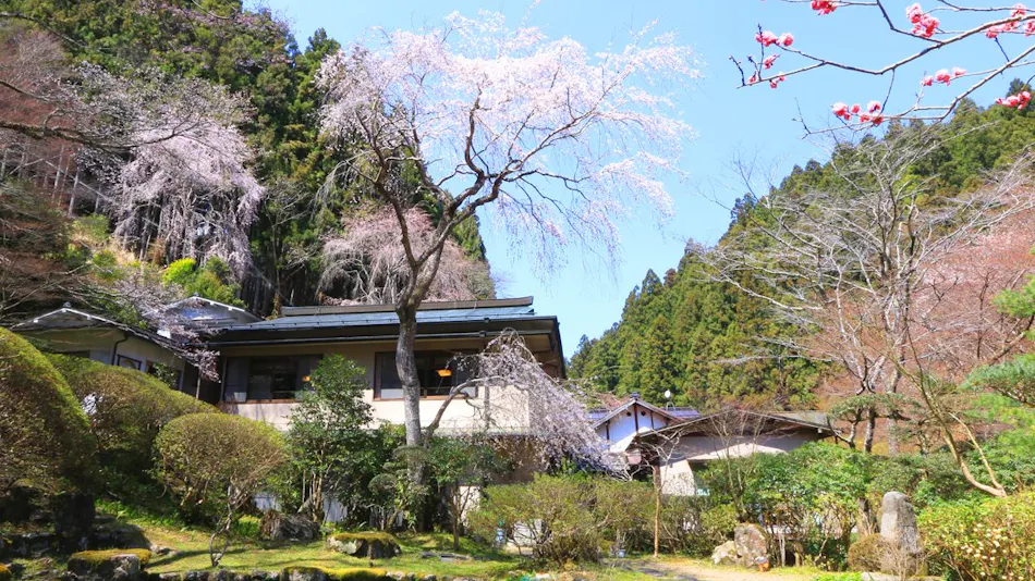Yoshino Onsen Motoyu
