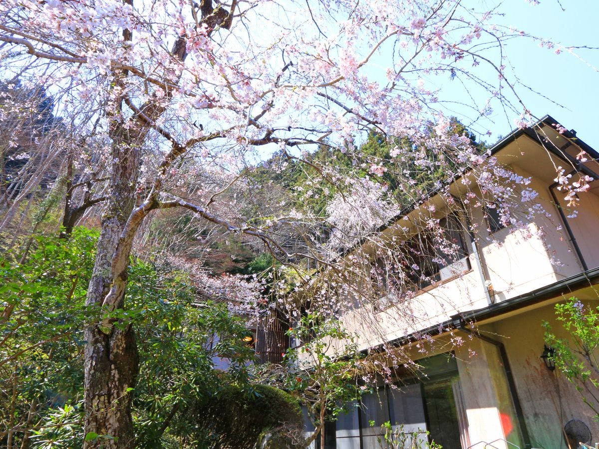 Yoshino Onsen Motoyu
