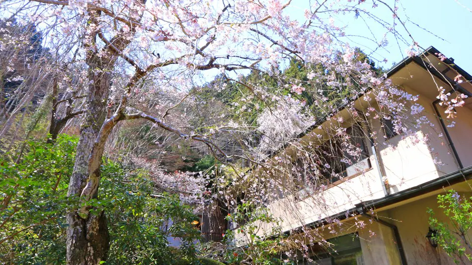 Yoshino Onsen Motoyu